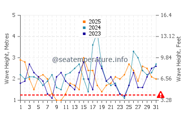Waves height in Cape Bridgewater in January