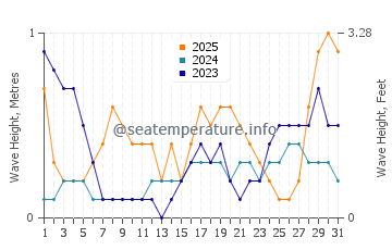 Waves height in Cirebon in January