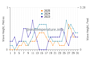 Waves height in Clarin in January