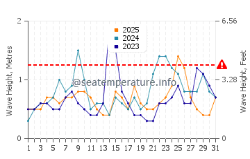 Waves height in Current Island in January