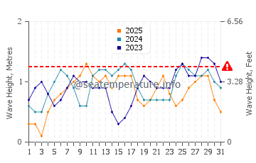 Waves height in Cuyo in January