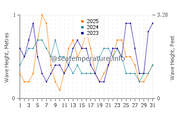 Waves height in Dahanu in January