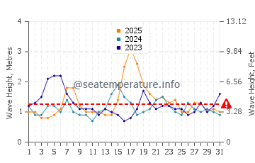 Waves height in Dee Why in January