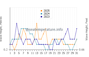 Waves height in Diu in January