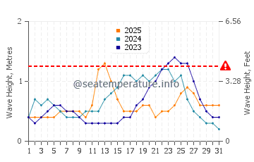 Altura de las olas en Dzaoudzi en enero