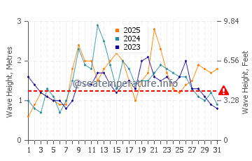 Waves height in El Remo in January