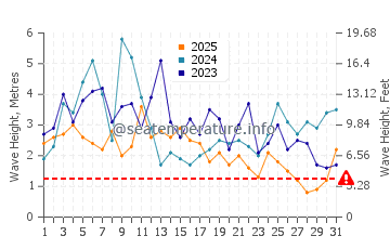 Waves height in First Beach in January