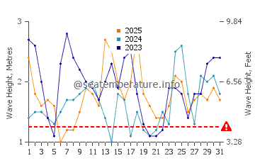 Waves height in Gracetown in January