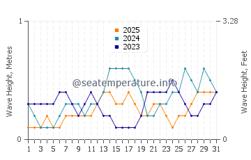 Waves height in Ichon in January