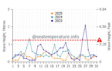 Waves height in Icmeler in January