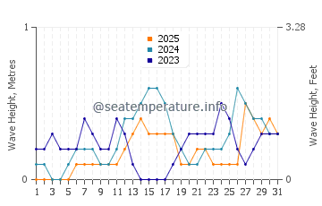 Waves height in Inayagan in January