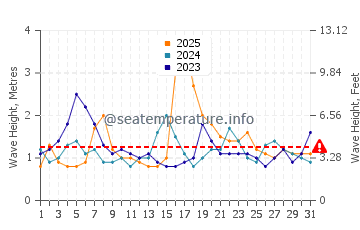 Waves height in Merewether in January