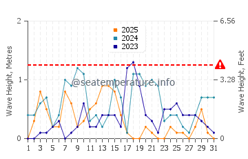 Waves height in Mimarsinan in January