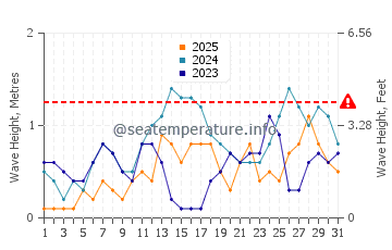 Wellenhöhe in Moog im Januar