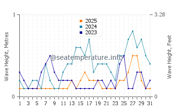 Waves height in Muricay in January