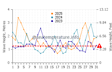 Waves height in Muriwai in January