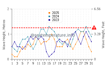 Altura de las olas en Negros en enero
