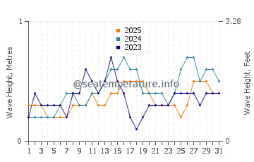 Waves height in New Batu Batu in January