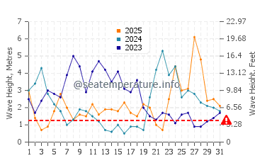 Waves height in Newquay in January