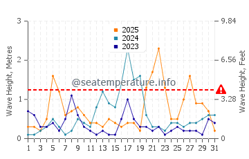 Waves height in Nuevo Portil in January