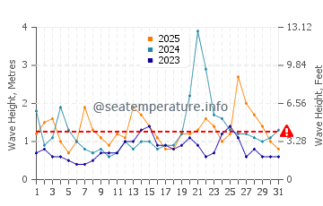 Waves height in Ofunato in January