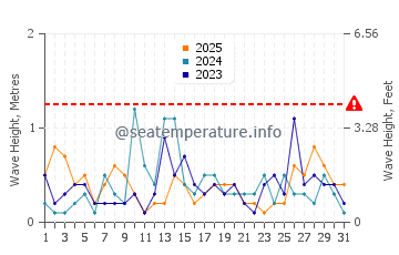 Waves height in Onset in January