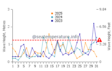 Waves height in Palmones in January