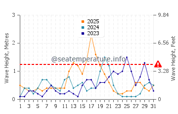 Waves height in Patacona in January