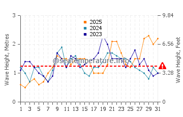 Waves height in Playa De Jandia in January