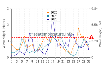 Waves height in Playa de Los Muertos in January
