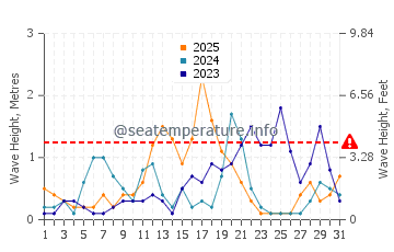 Waves height in Playa De Piles in January