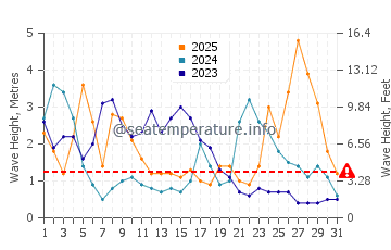 Waves height in Port Manec'h in January