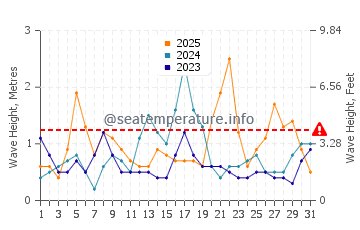 Waves height in Praia do Camilo in January