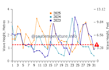 Waves height in Puro Pinget in January
