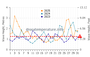 Waves height in Raglan in January