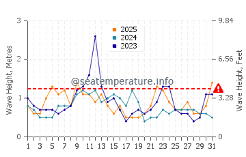 Altezza delle onde Rawson a gennaio