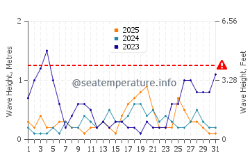 Waves height in Rosebank in January