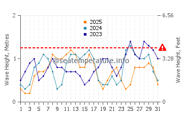 Waves height in Roxas in January