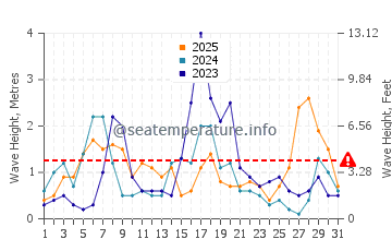 Waves height in Ses Covetes in January