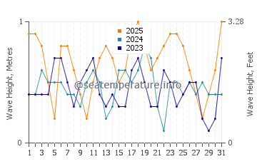 Waves height in Shalateen in January