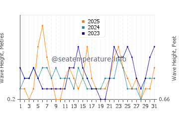 Waves height in Srivardhan in January