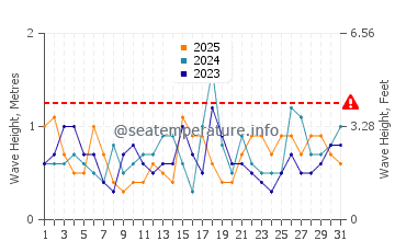 Waves height in Surf Beach in January