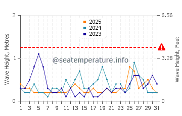 Waves height in Tahunanui in January