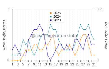 Waves height in Tajao in January