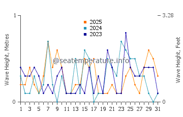 Waves height in Takahama in January