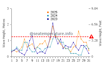 Waves height in Tamarit in January
