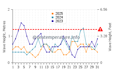 Waves height in Taylors Mistake in January