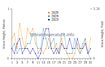 Waves height in Mayo in January