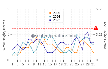 Waves height in Viriato in January