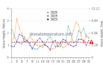 Waves height in Waitara in January